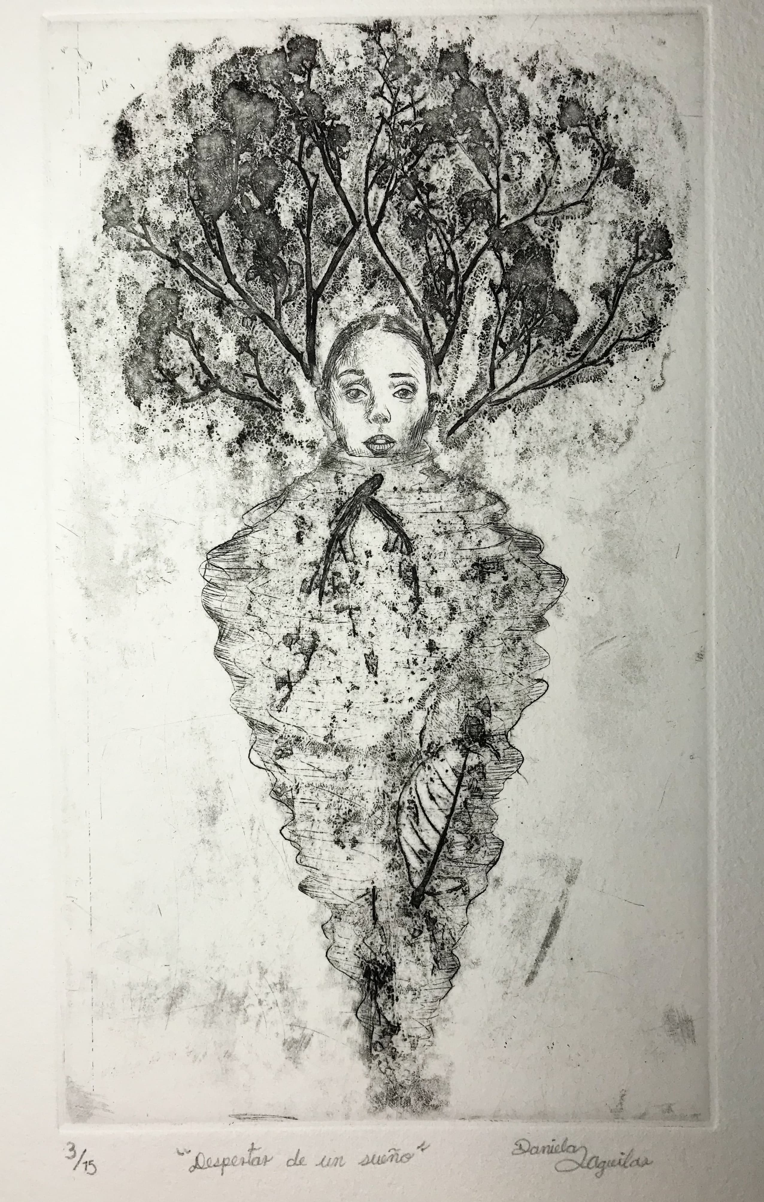 Despertar de un sueño